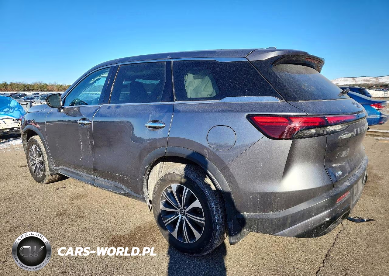 2023 Infiniti Qx60 Pure VIN:5N1DL1ES1PC373836 - 2