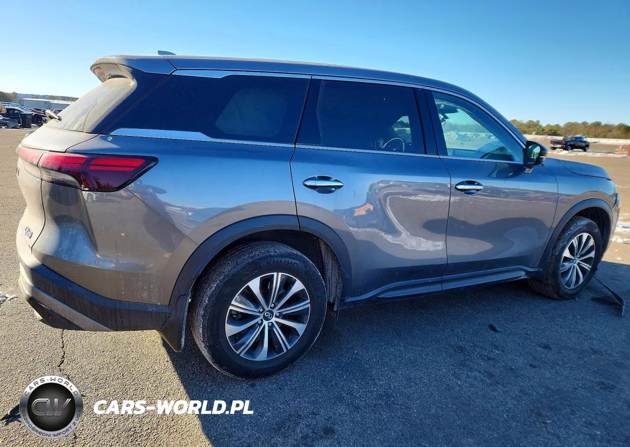 2023 Infiniti Qx60 Pure VIN:5N1DL1ES1PC373836 - 3