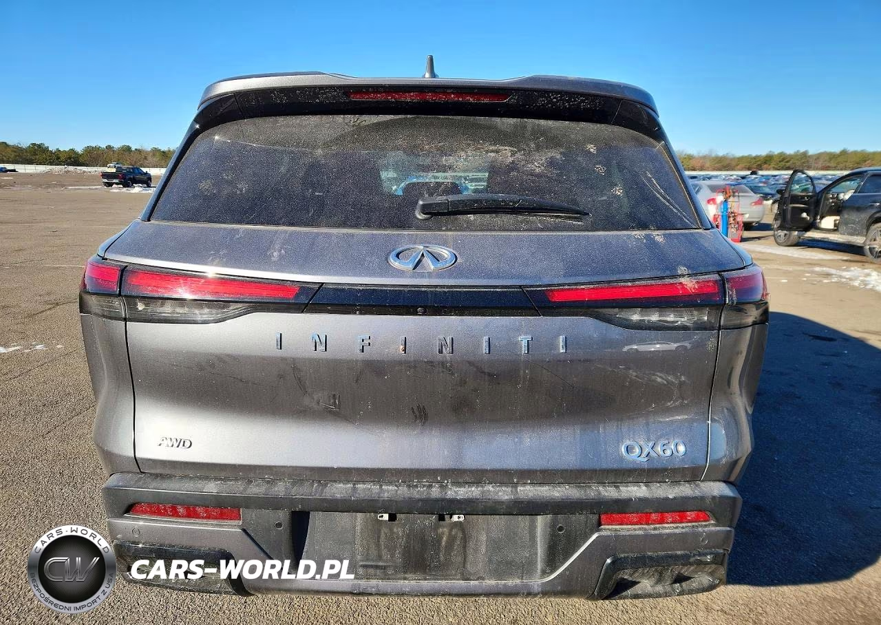 2023 Infiniti Qx60 Pure VIN:5N1DL1ES1PC373836 - 6