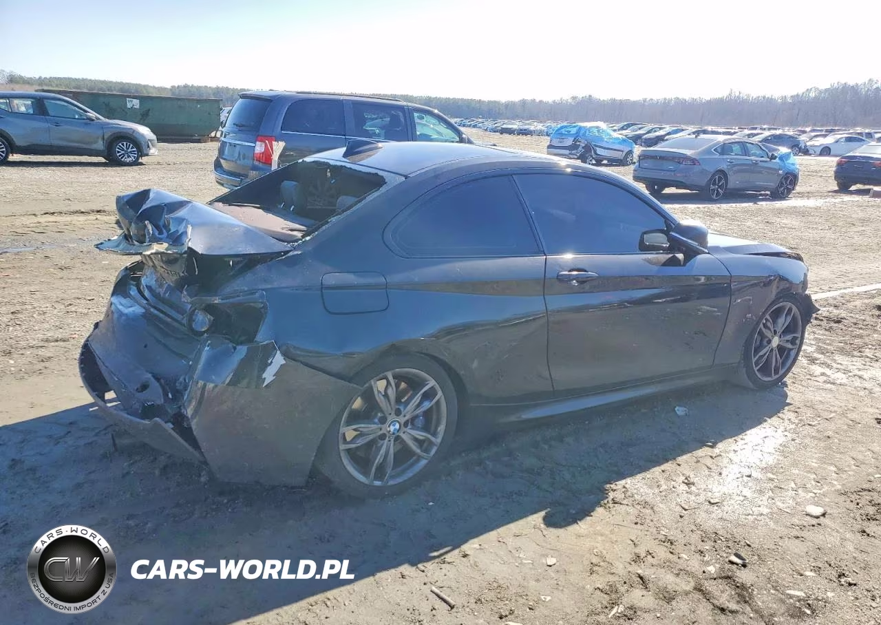 2014 BMW M235I VIN:WBA1J7C59EVW84846 - 3