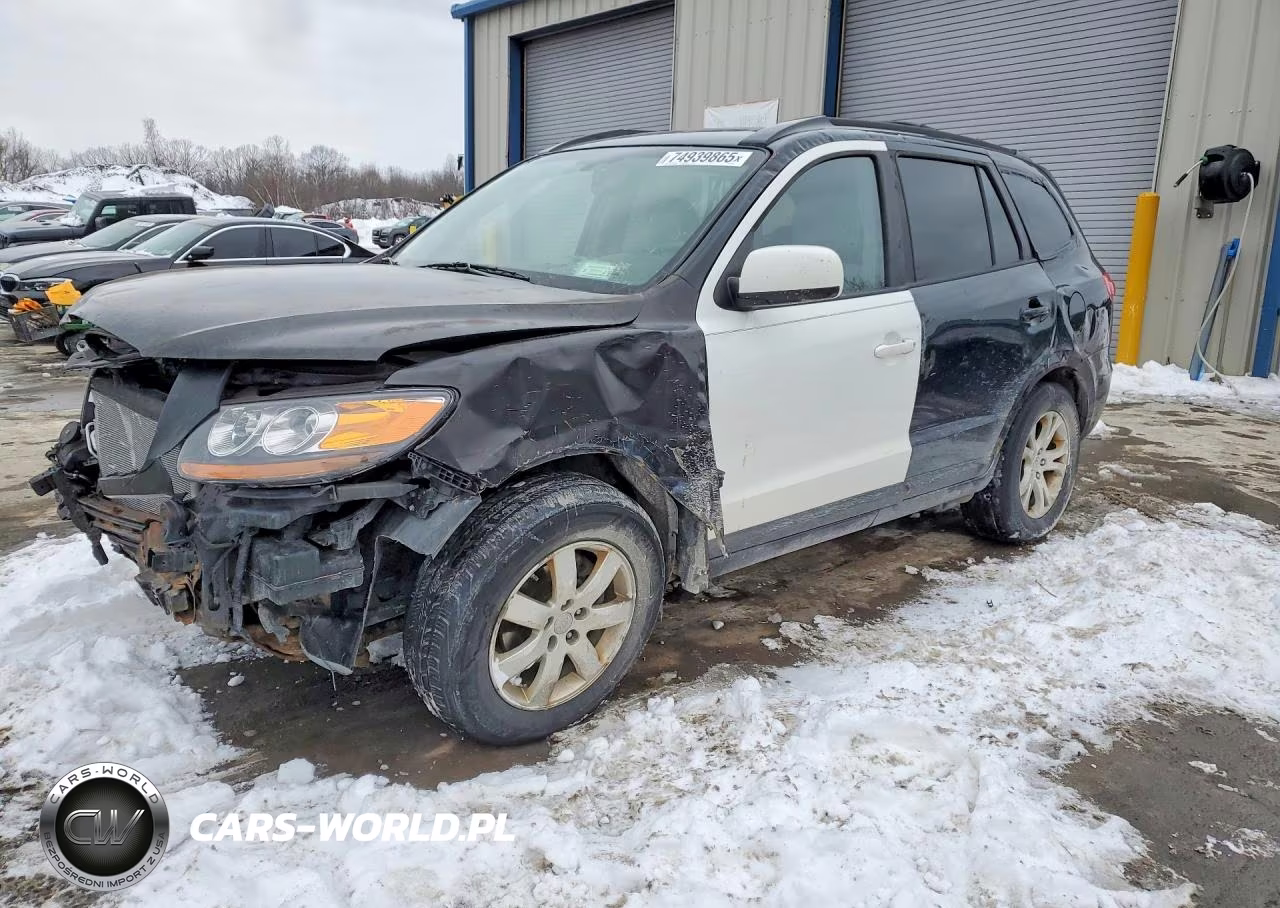 2008 Hyundai Santa Fe Se