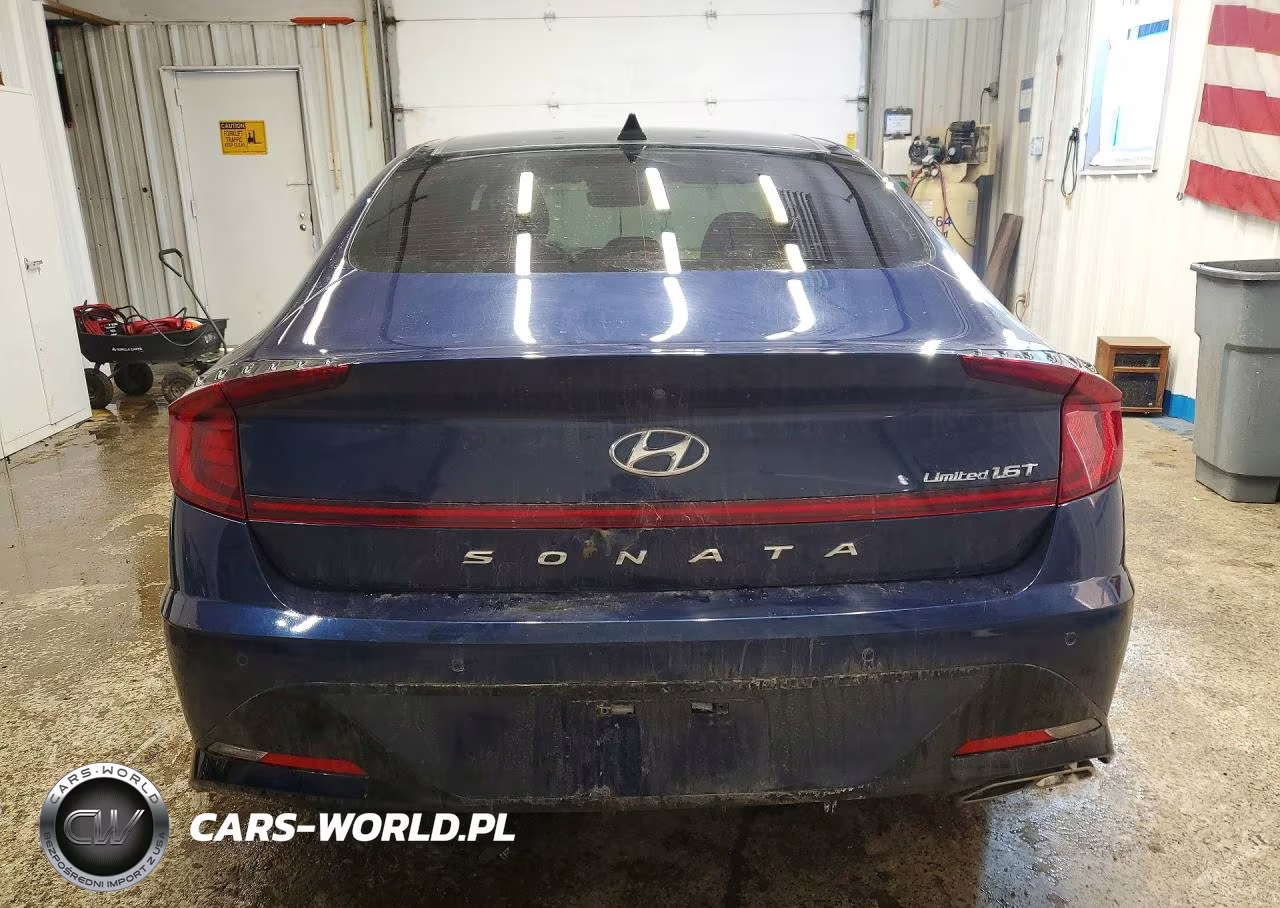 2020 Hyundai Sonata Limited VIN:5NPEH4J20LH059496 - 6
