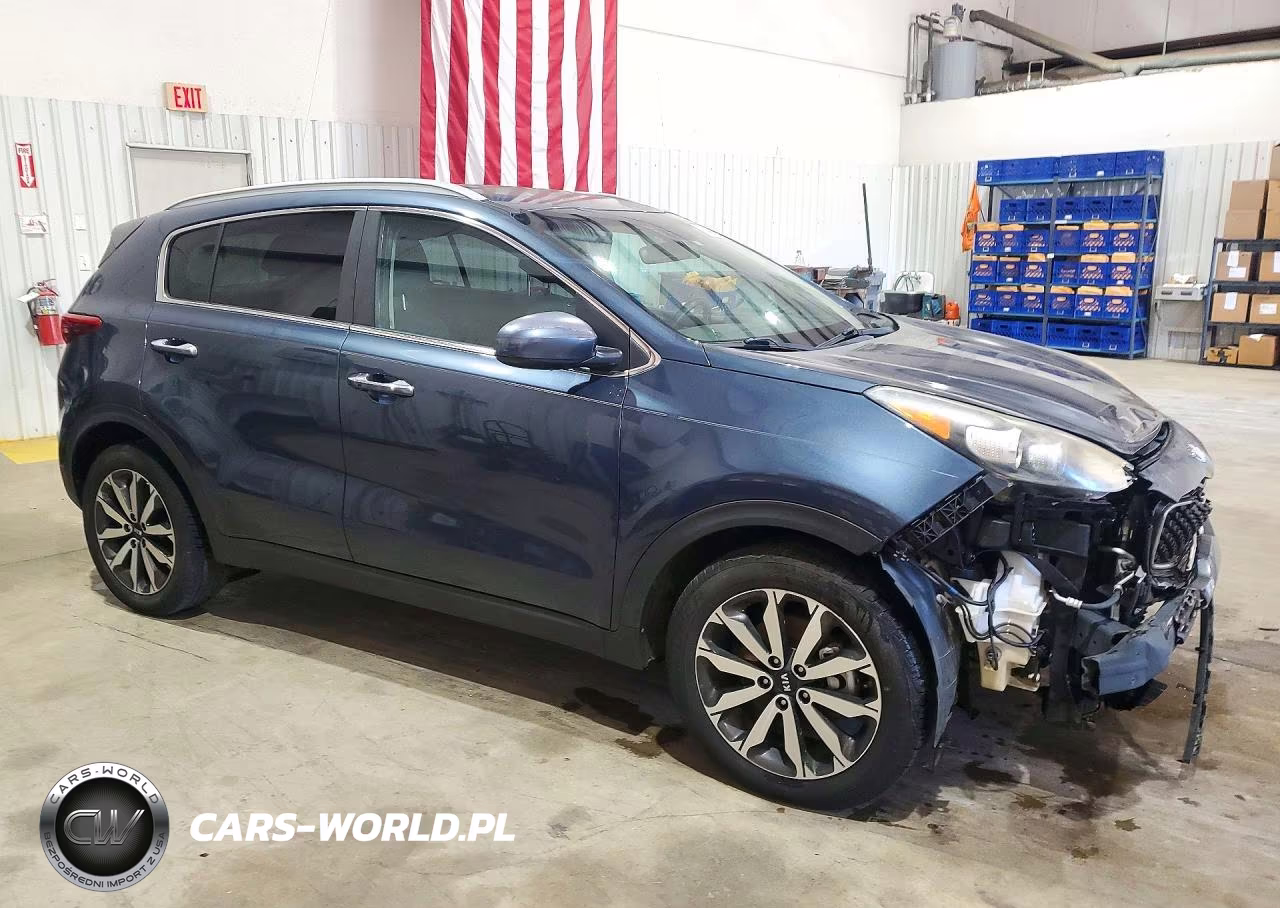 2017 Kia Sportage Ex VIN:KNDPN3ACXH7217665 - 4