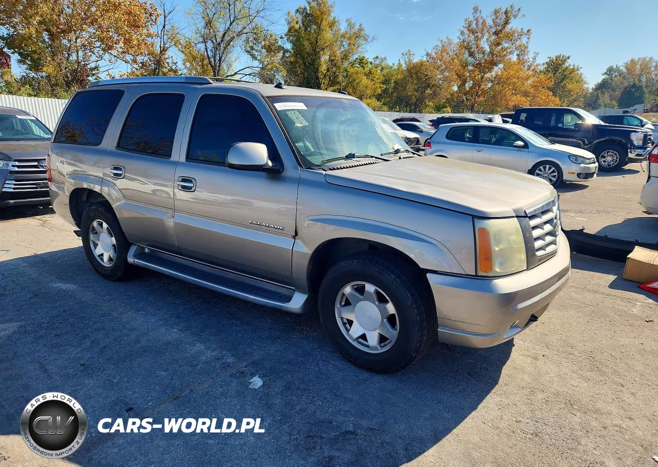 2003 Cadillac Escalade Luxury VIN:1GYEK63N03R262220 - 4
