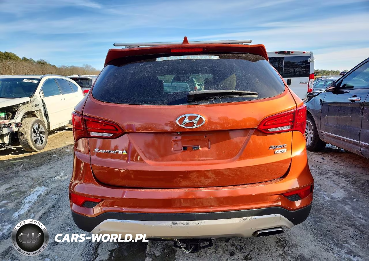 2017 Hyundai Santa Fe Sport VIN:5XYZUDLB9HG411418 - 6