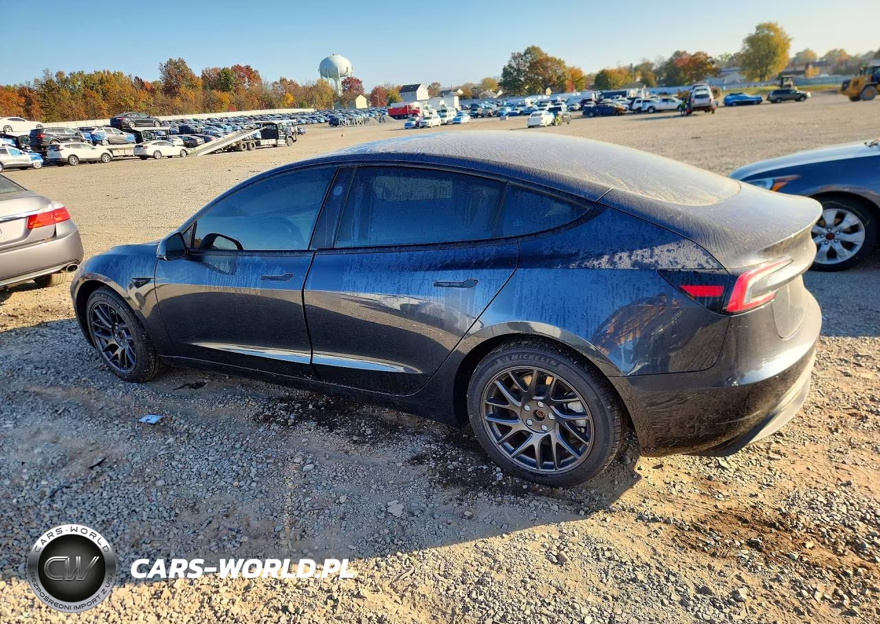 2025 Tesla Model 3 VIN:5YJ3E1EA7SF926485 - 2