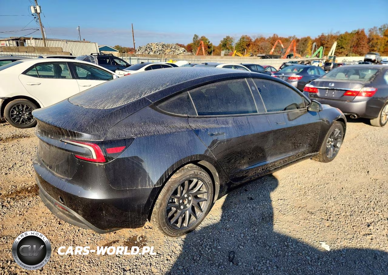 2025 Tesla Model 3 VIN:5YJ3E1EA7SF926485 - 3
