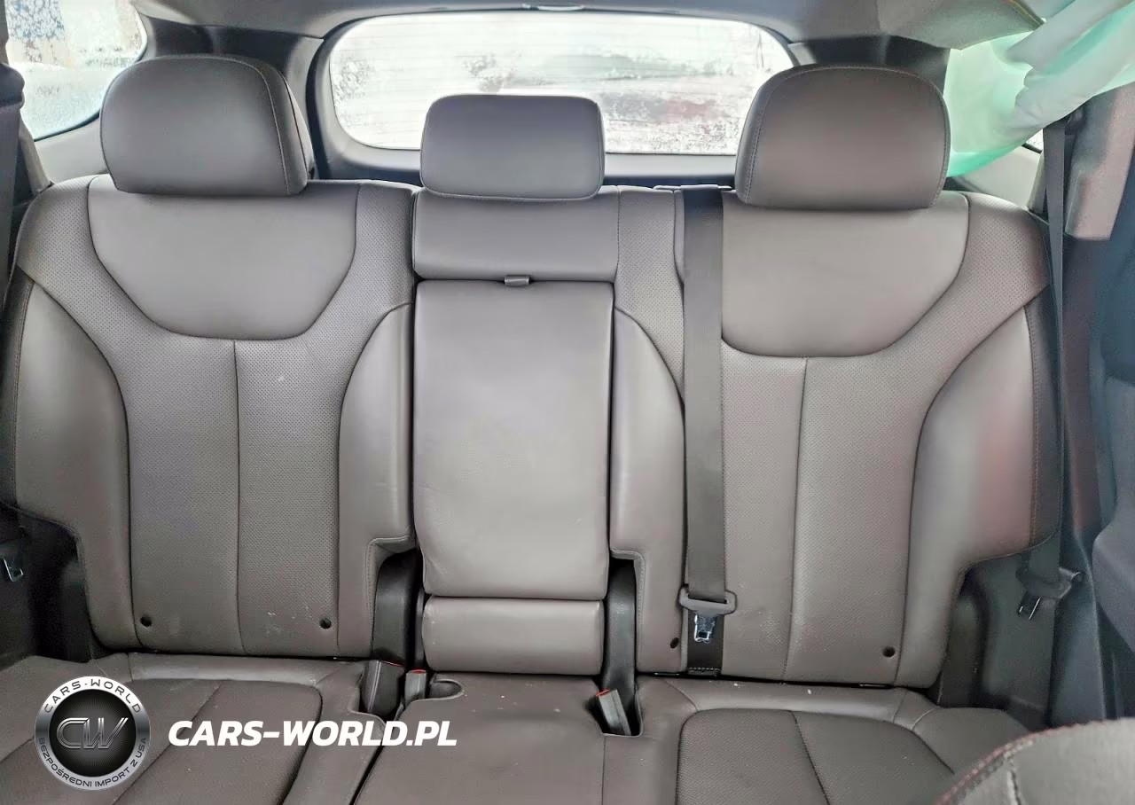 2019 Hyundai Santa Fe Limited VIN:5NMS53AA4KH057078 - 10