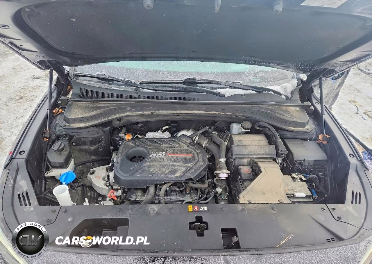 2019 Hyundai Santa Fe Limited VIN:5NMS53AA4KH057078 - 12