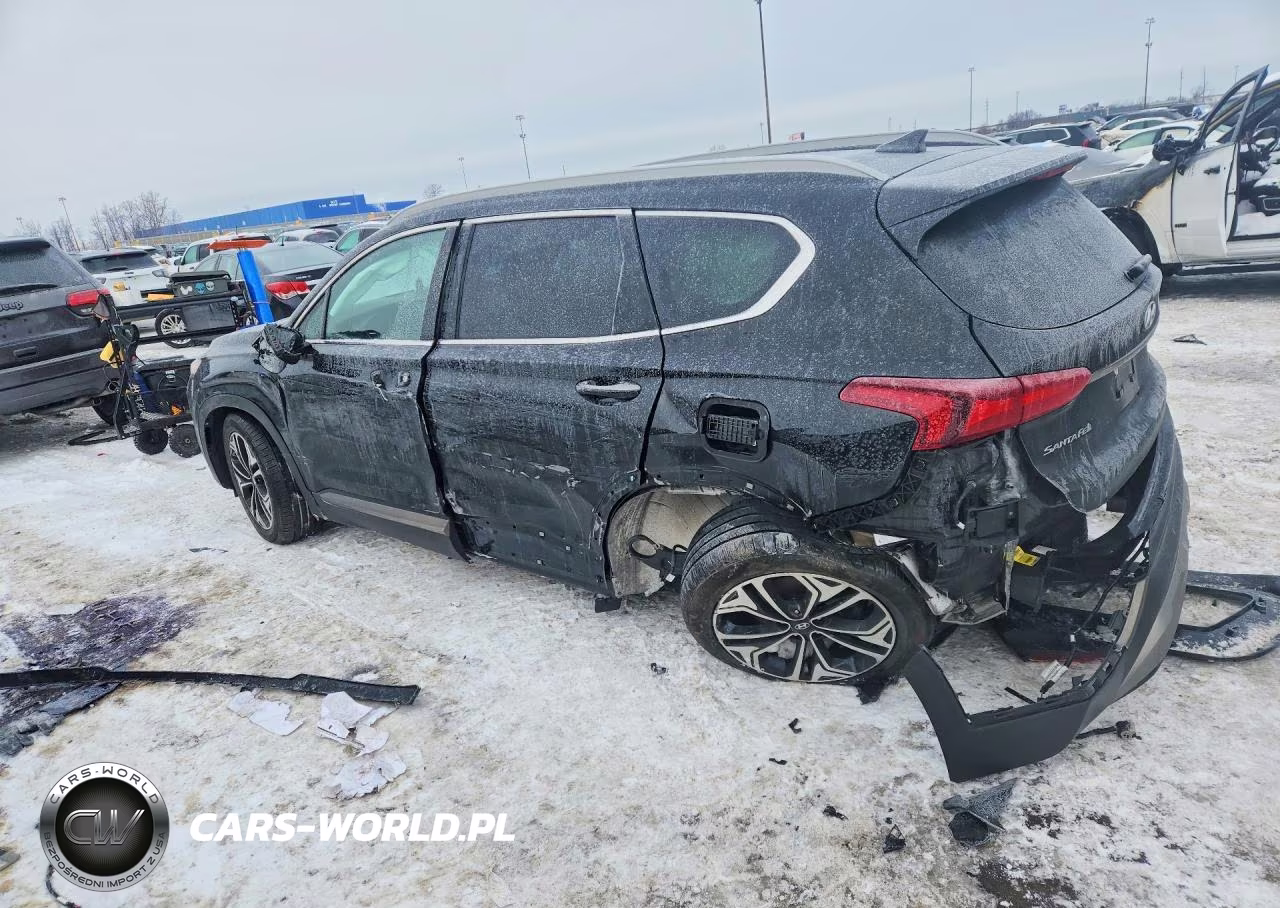 2019 Hyundai Santa Fe Limited VIN:5NMS53AA4KH057078 - 2