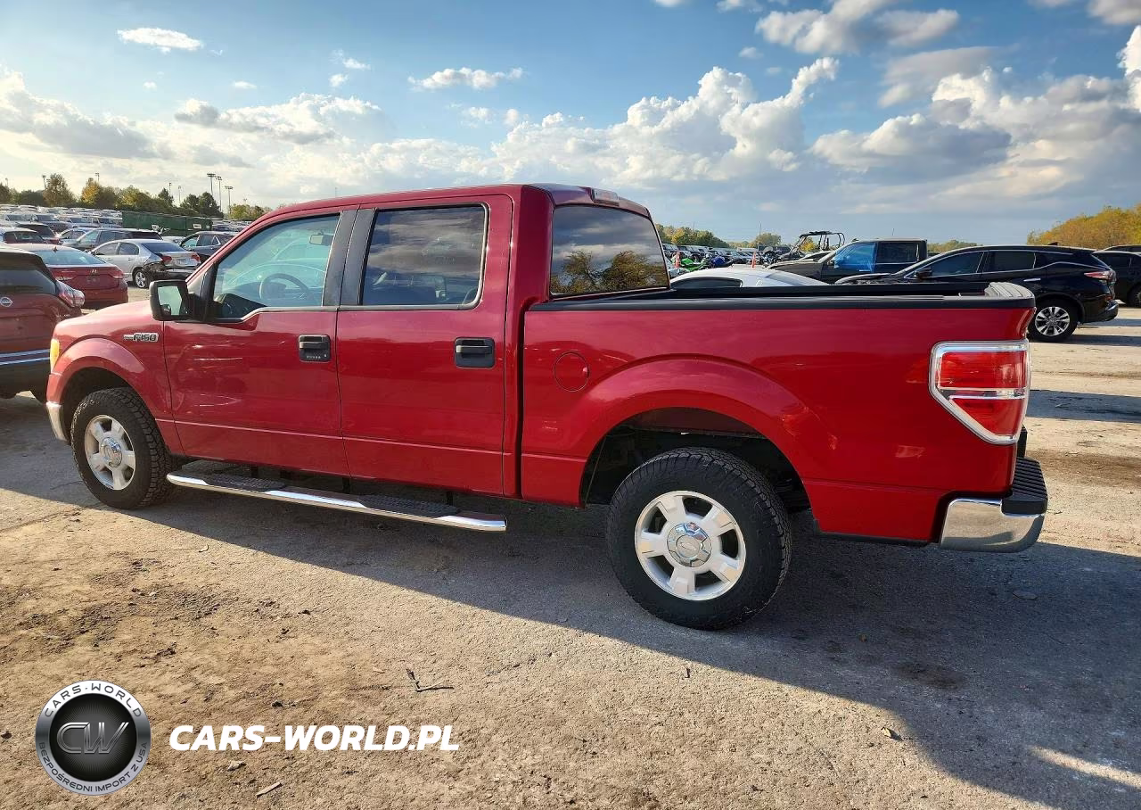 2010 Ford F150 Supercrew VIN:1FTEW1C89AKE46116 - 2