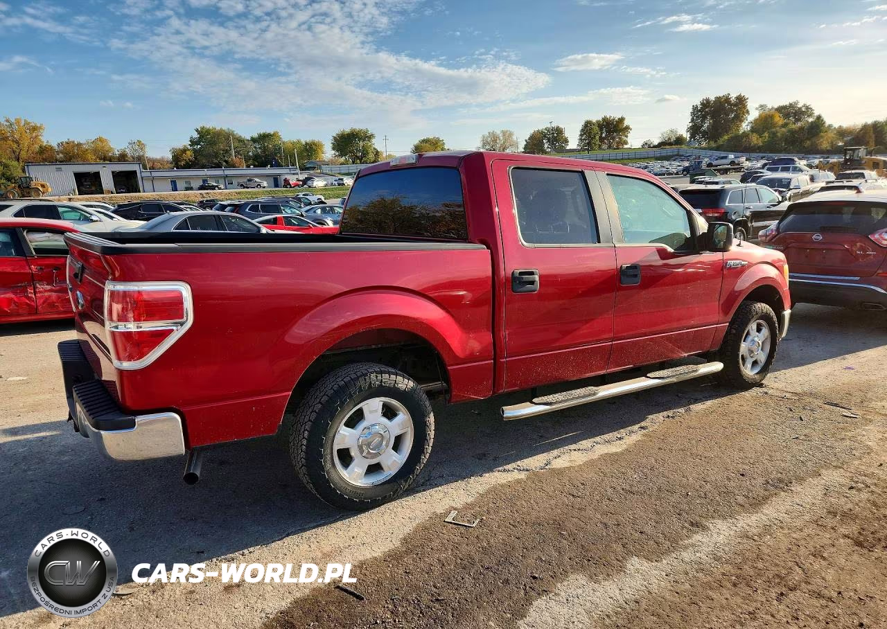 2010 Ford F150 Supercrew VIN:1FTEW1C89AKE46116 - 3