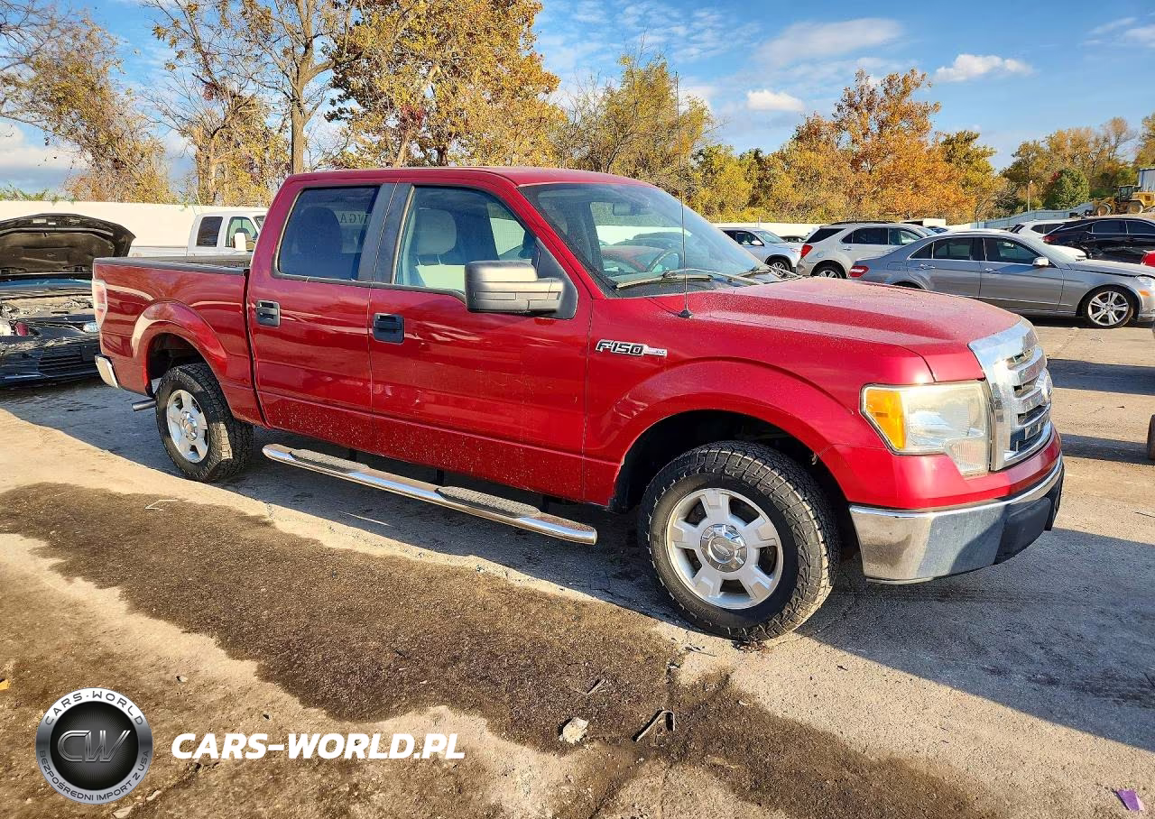 2010 Ford F150 Supercrew VIN:1FTEW1C89AKE46116 - 4