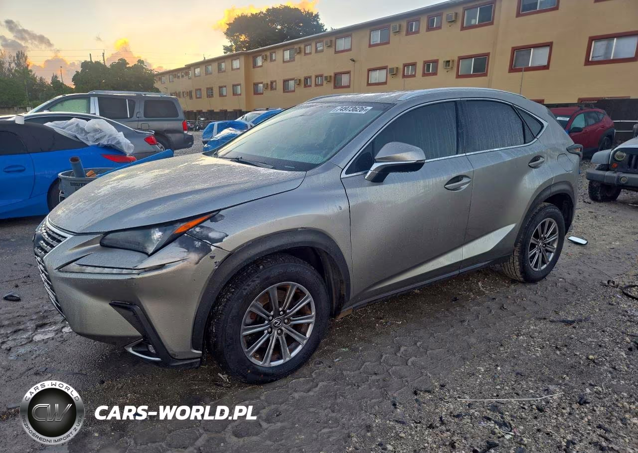 2019 Lexus Nx 300 Base VIN:JTJYARBZ1K2150168 - 1