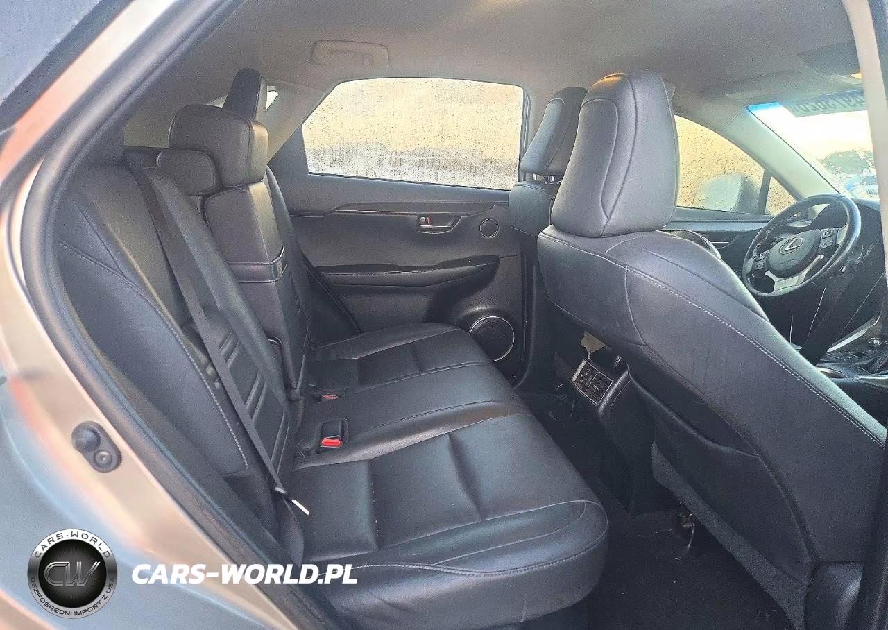 2019 Lexus Nx 300 Base VIN:JTJYARBZ1K2150168 - 10