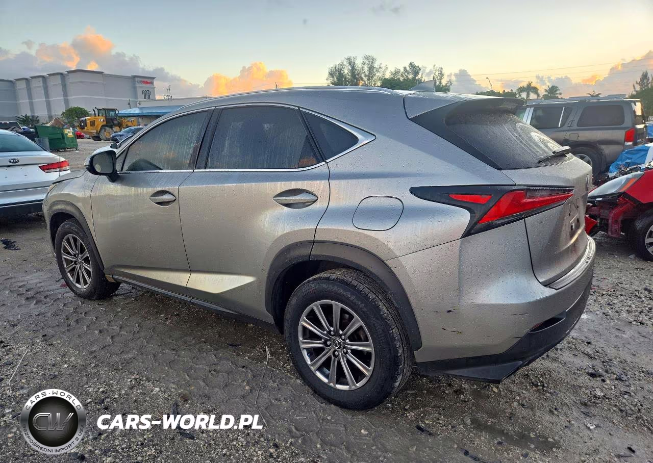 2019 Lexus Nx 300 Base VIN:JTJYARBZ1K2150168 - 2