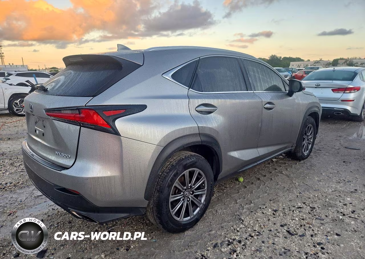2019 Lexus Nx 300 Base VIN:JTJYARBZ1K2150168 - 3