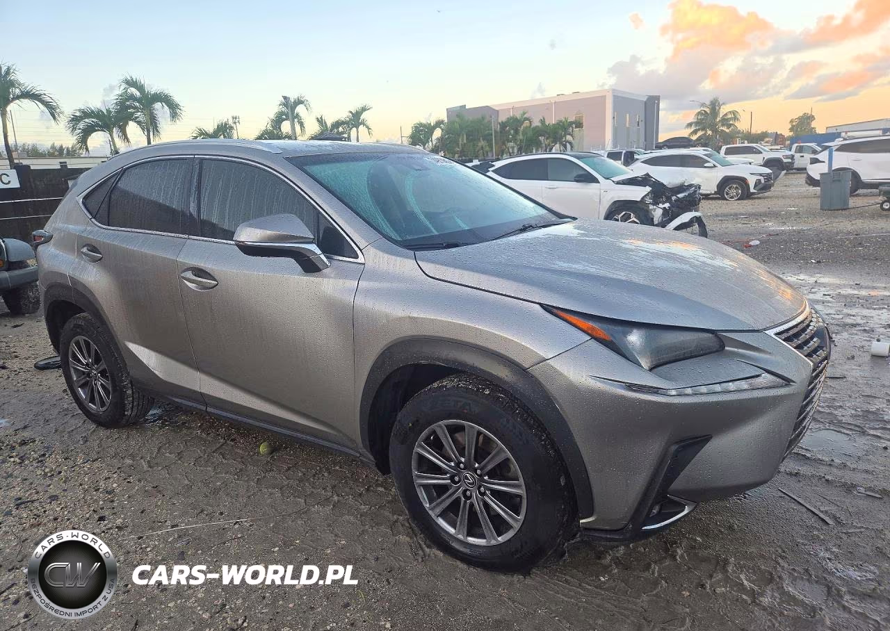 2019 Lexus Nx 300 Base VIN:JTJYARBZ1K2150168 - 4