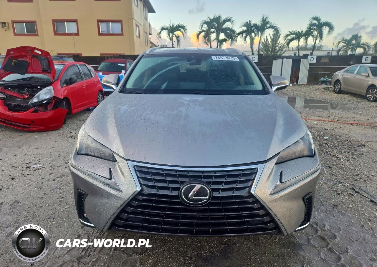 2019 Lexus Nx 300 Base VIN:JTJYARBZ1K2150168 - 5