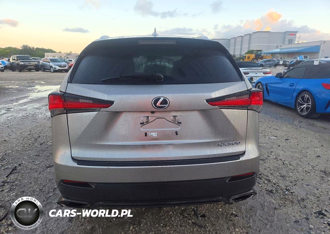 2019 Lexus Nx 300 Base VIN:JTJYARBZ1K2150168 - 6