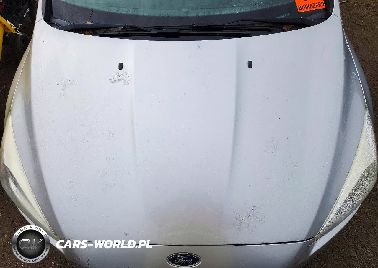 2016 Ford Focus Se VIN:1FADP3K22GL240100 - 11