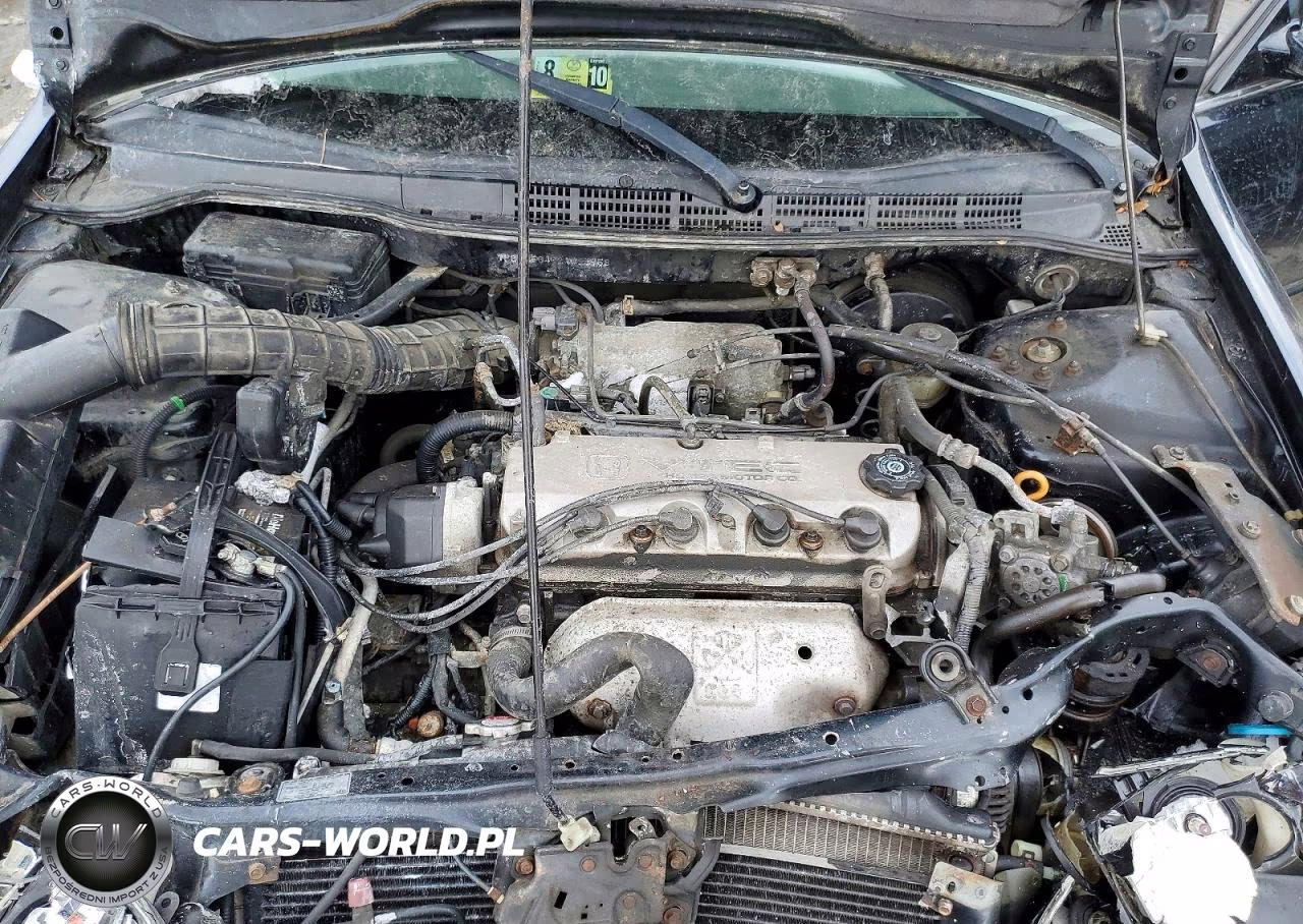 2002 Honda Accord Lx VIN:1HGCG56492A028958 - 11