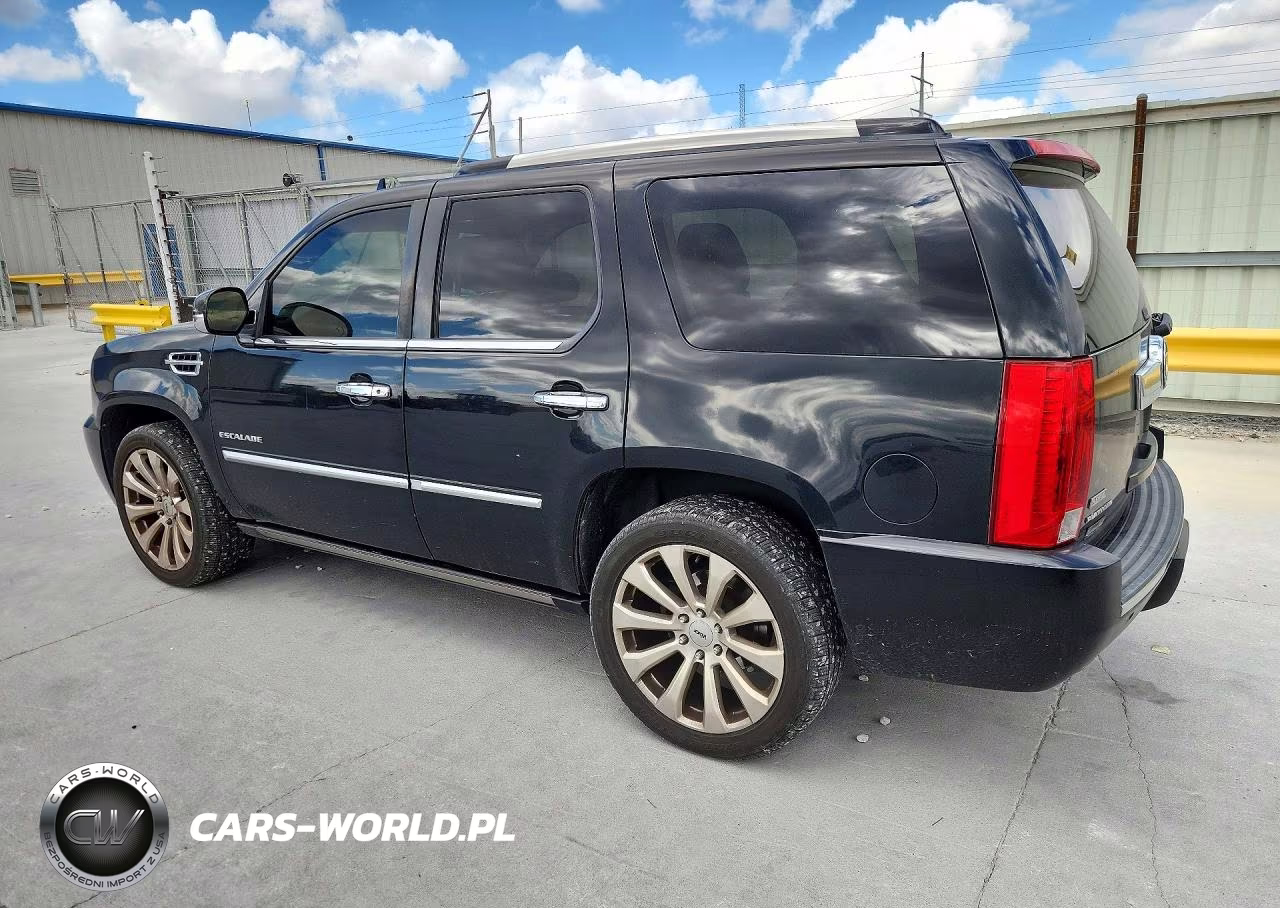 2012 Cadillac Escalade Platinum VIN:1GYS4DEF5CR257585 - 2