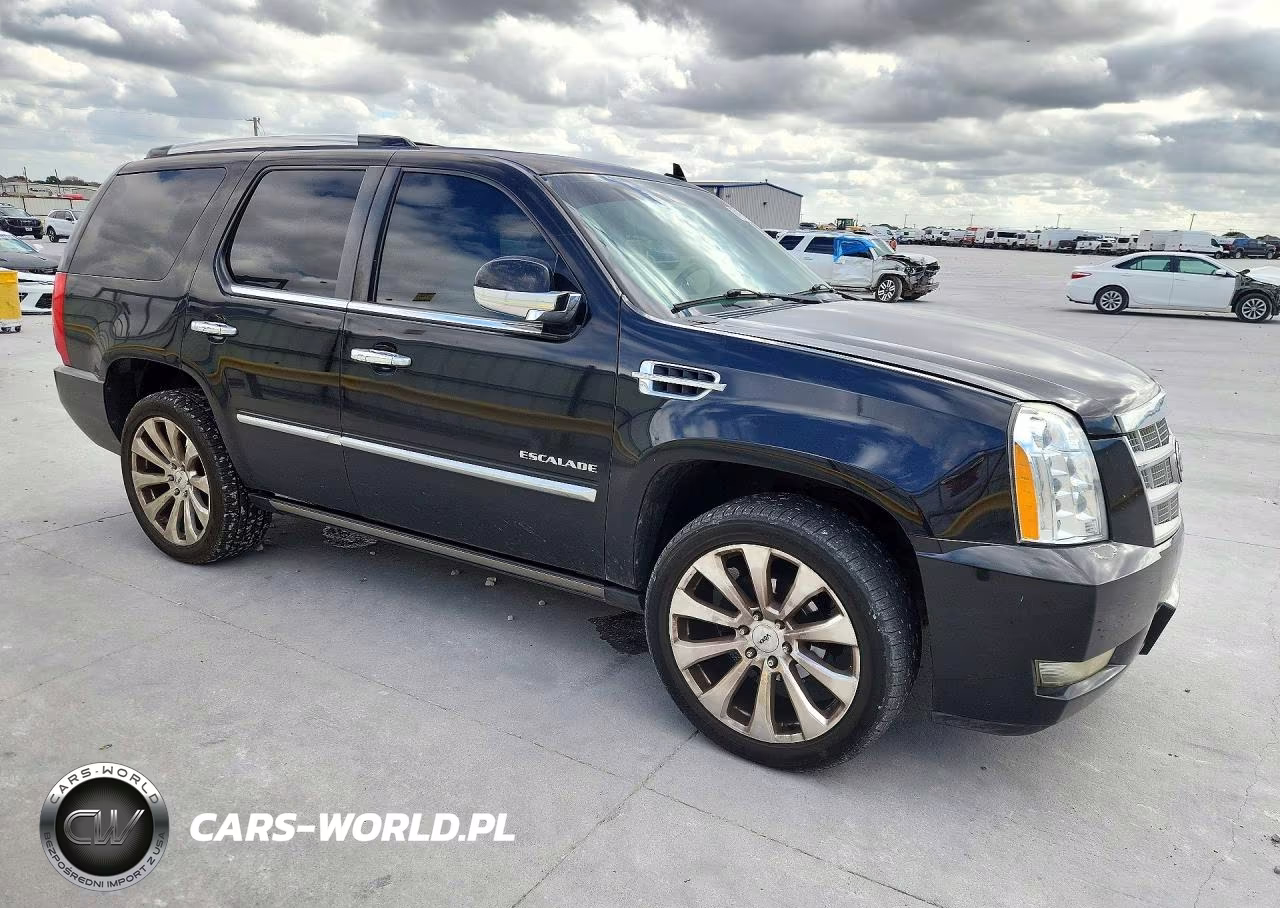 2012 Cadillac Escalade Platinum VIN:1GYS4DEF5CR257585 - 4