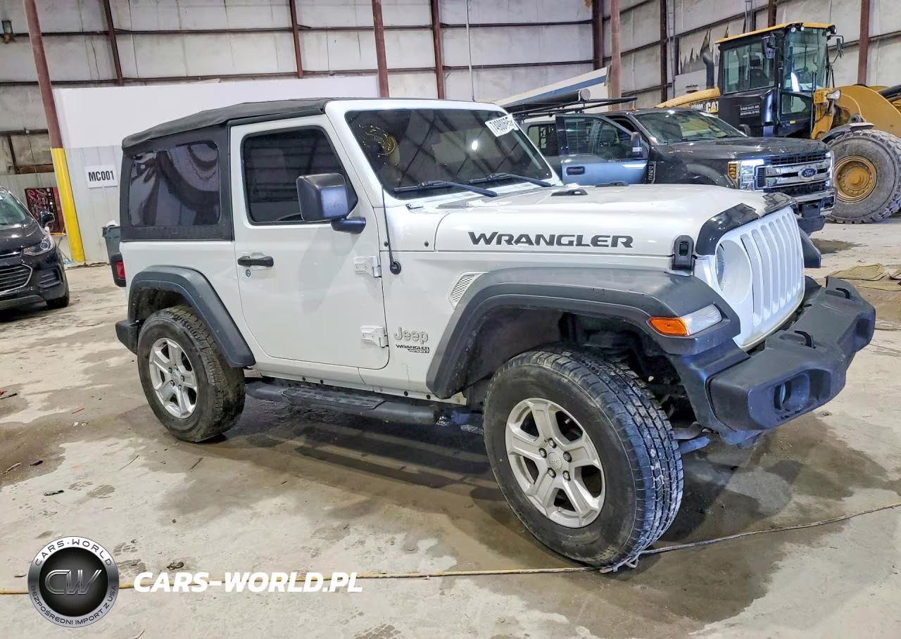 2020 Jeep Wrangler Sport VIN:1C4GJXAN0LW136080 - 4
