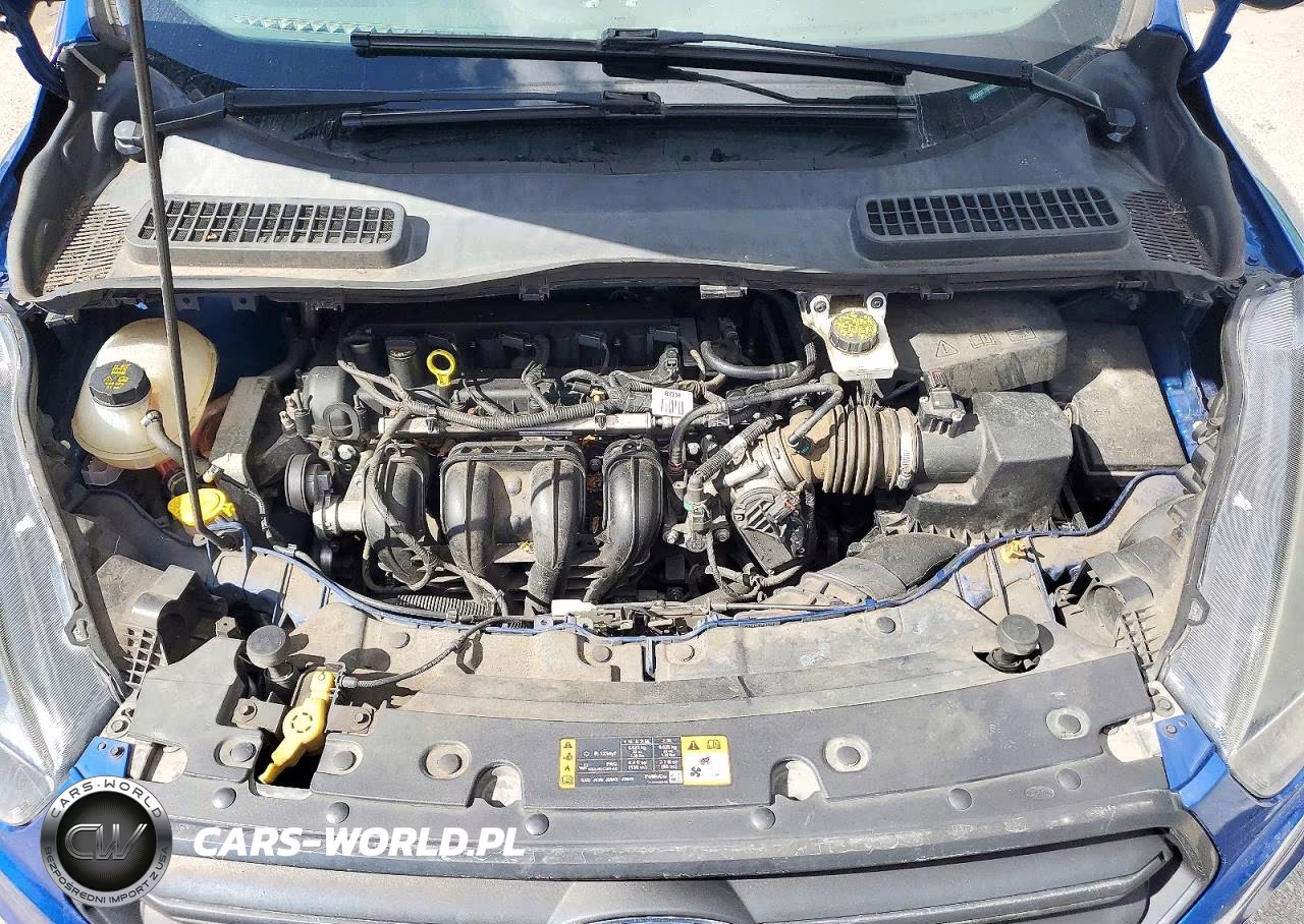 2019 Ford Escape S VIN:1FMCU0F78KUB26135 - 12