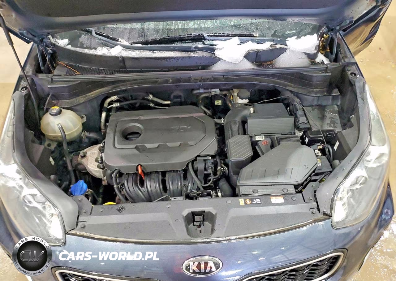 2019 Kia Sportage Ex VIN:KNDPNCAC6K7536729 - 12