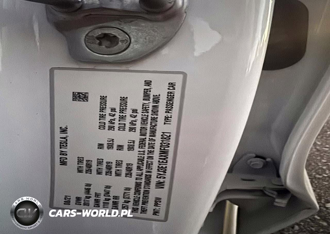 2021 Tesla Model 3 VIN:5YJ3E1EAXMF031821 - 10