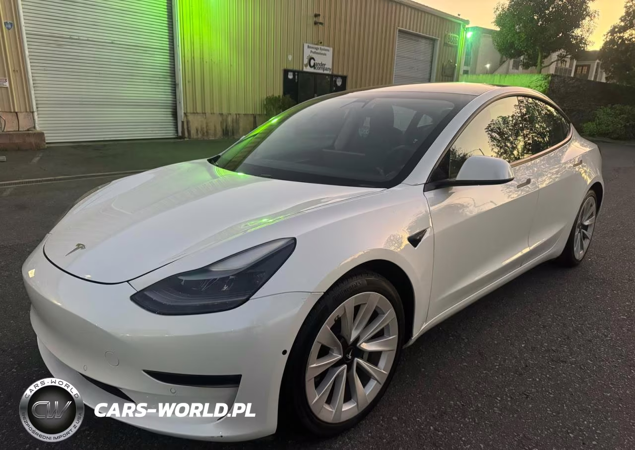 2021 Tesla Model 3 VIN:5YJ3E1EAXMF031821 - 2