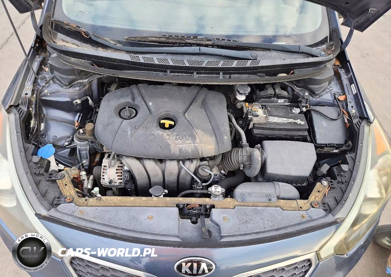 2014 Kia Forte Lx VIN:KNAFX4A61E5160959 - 11