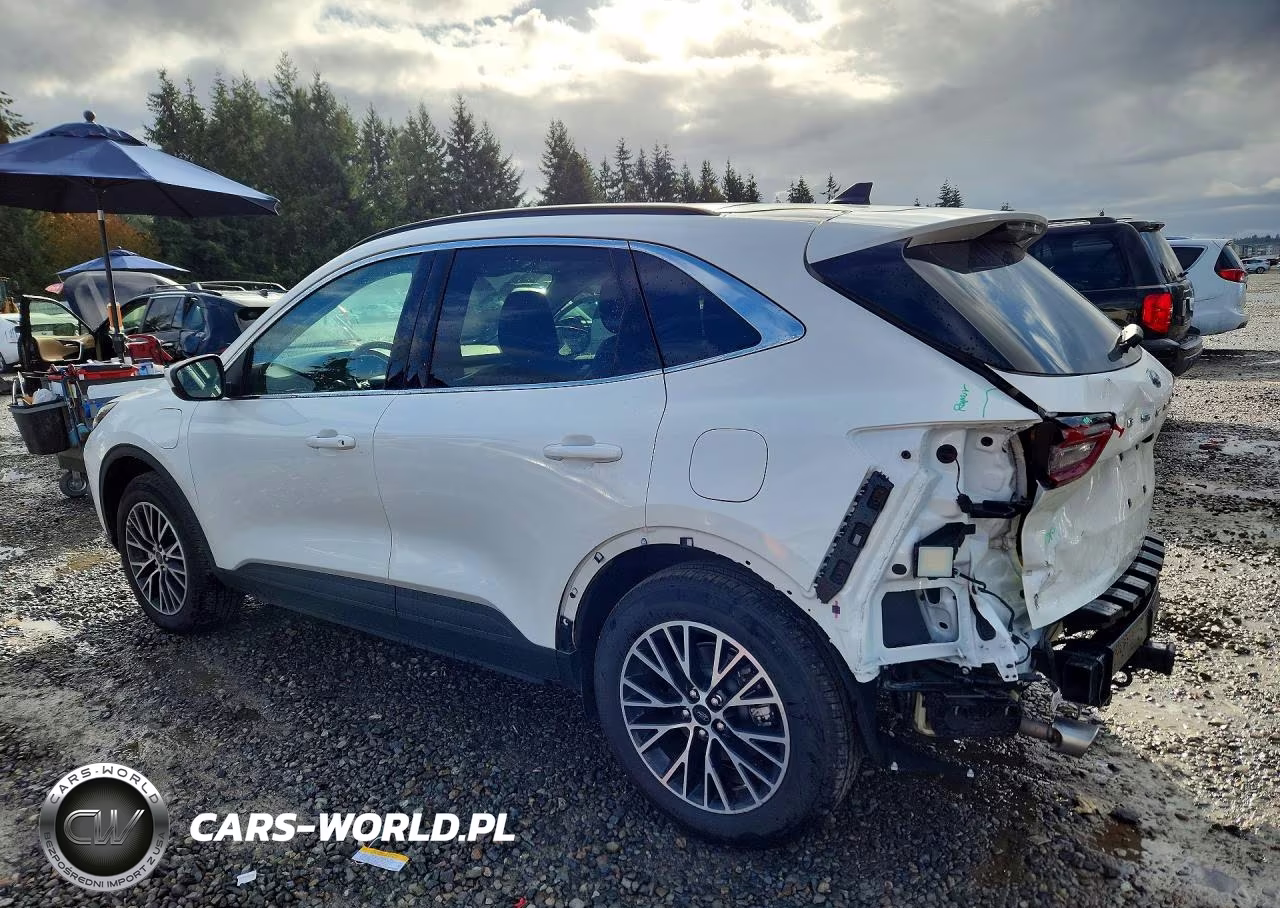 2025 Ford Escape VIN:1FMCU0E17SUB27970 - 2