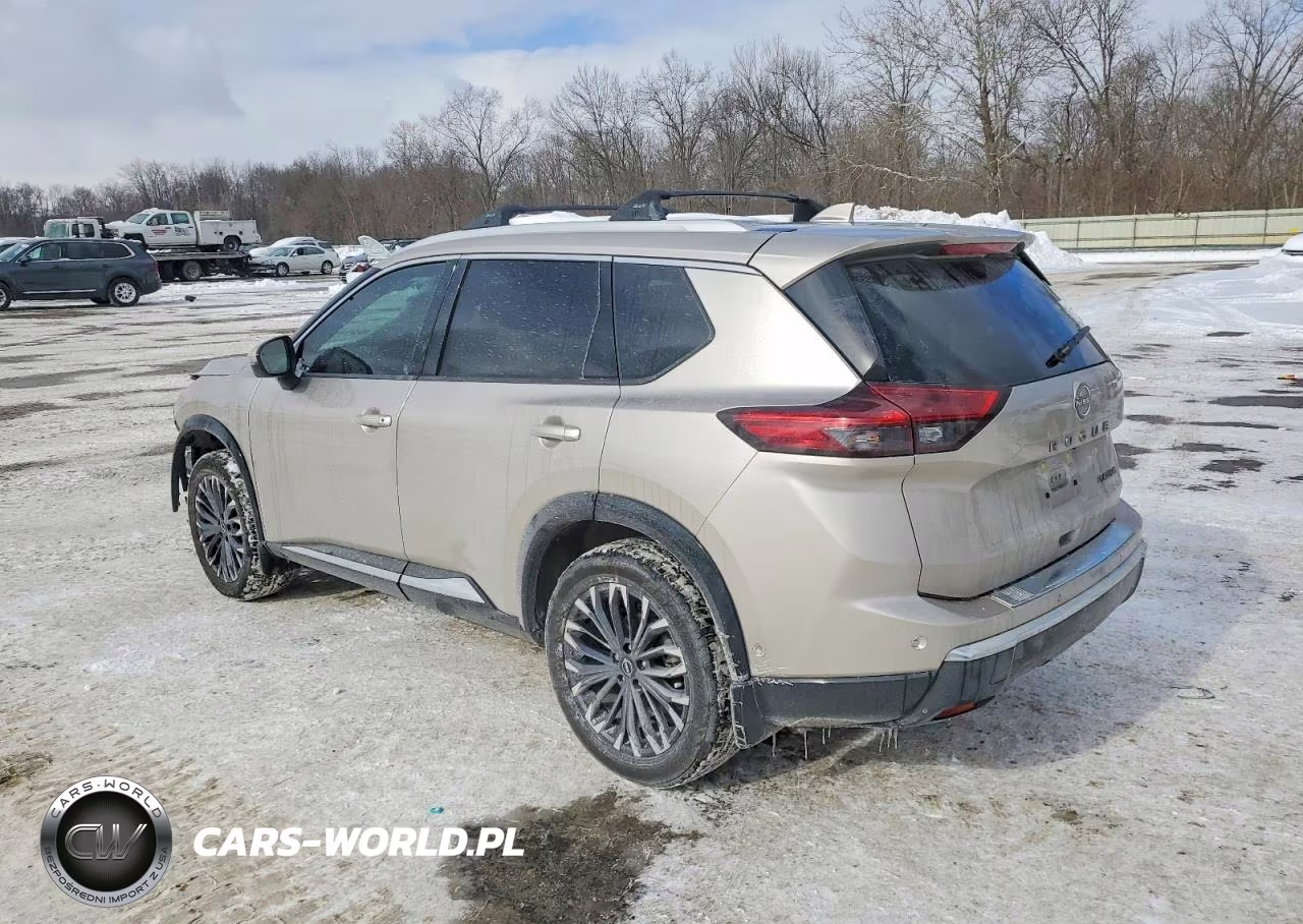 2025 Nissan Rogue Platinum VIN:JN8BT3DC6SW102316 - 2