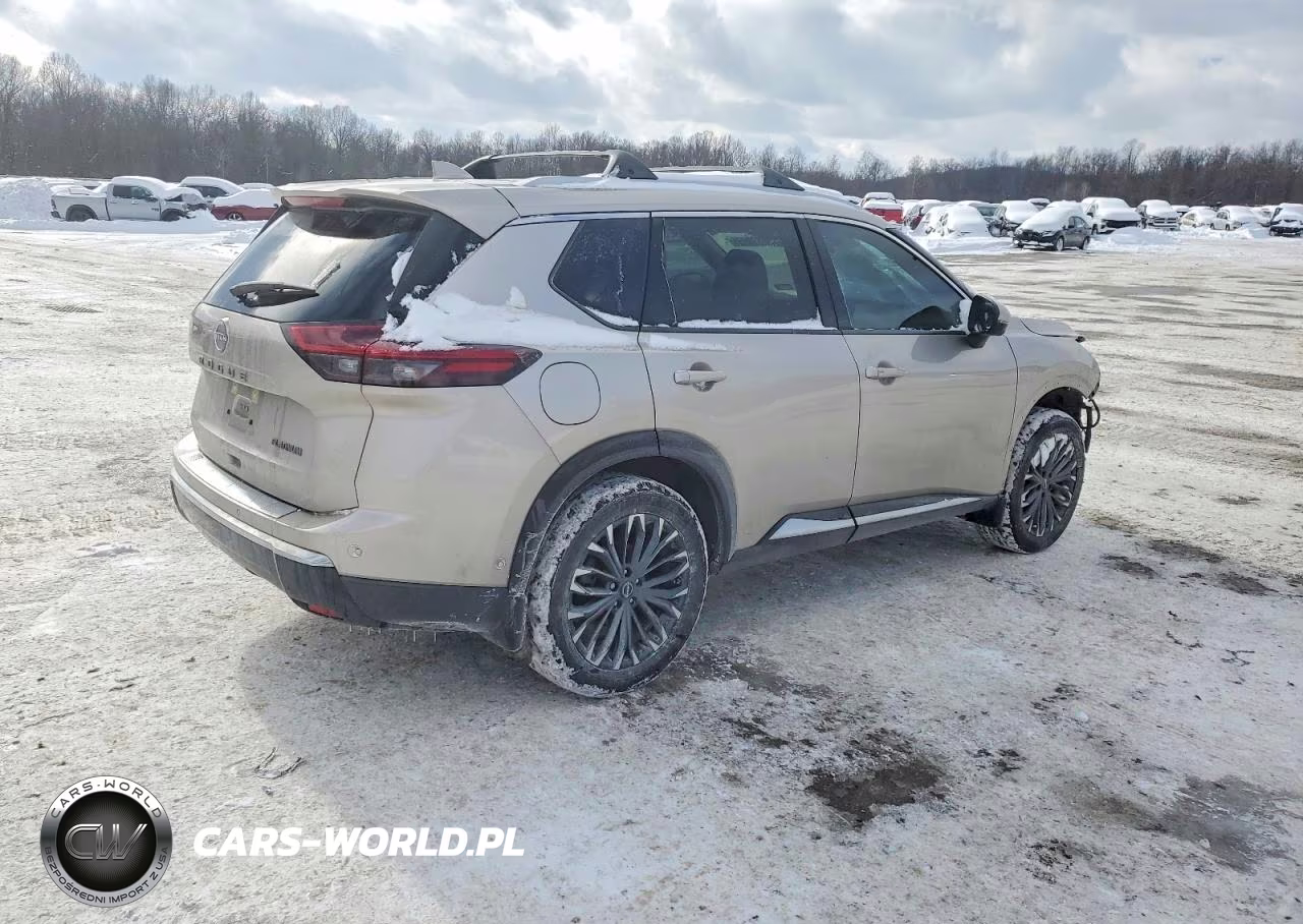 2025 Nissan Rogue Platinum VIN:JN8BT3DC6SW102316 - 3