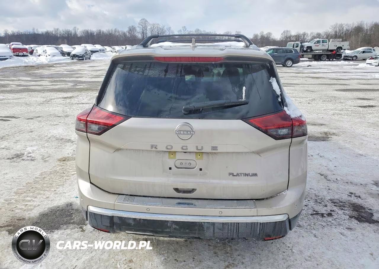 2025 Nissan Rogue Platinum VIN:JN8BT3DC6SW102316 - 6