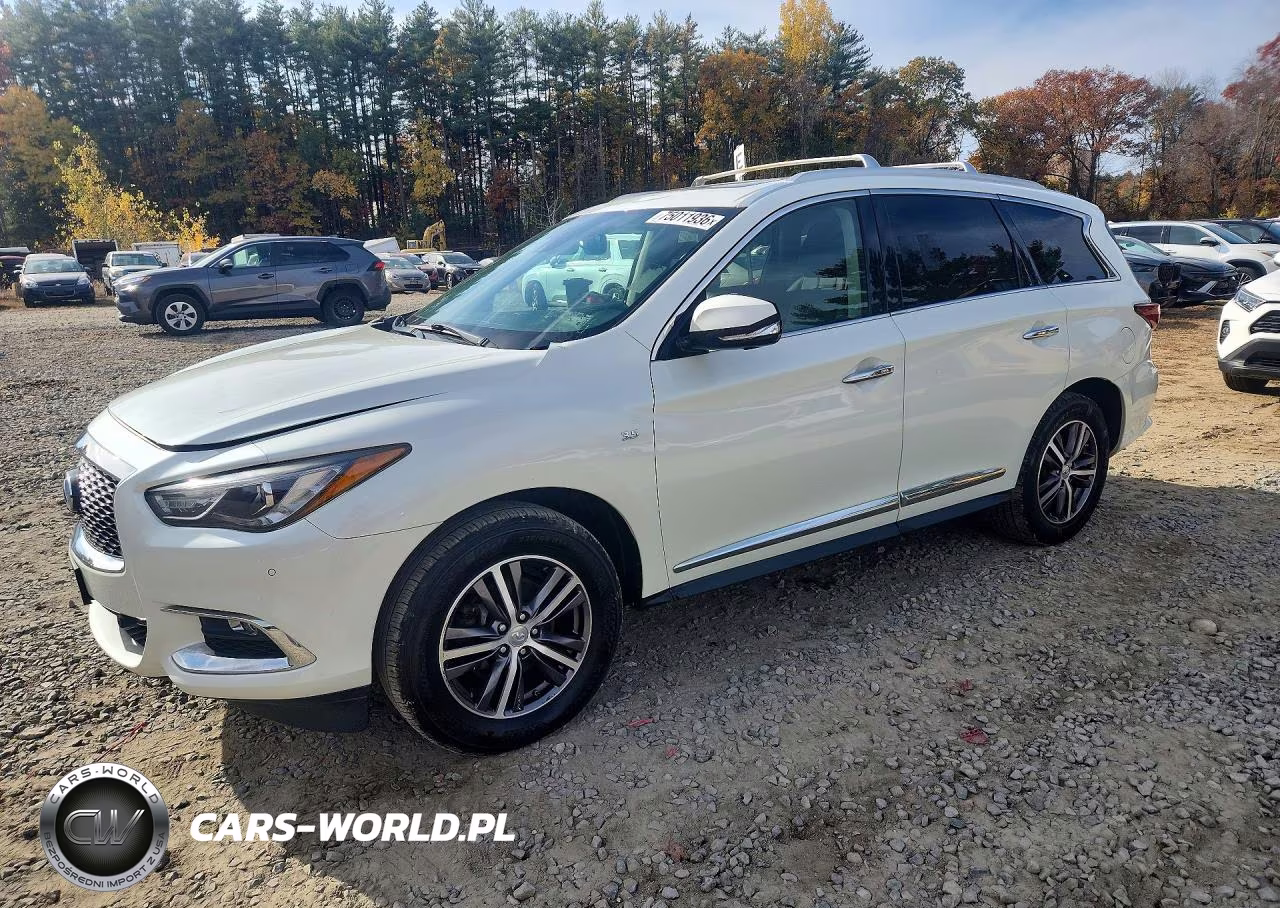 2019 Infiniti Qx60 Luxe VIN:5N1DL0MM7KC527178 - 1