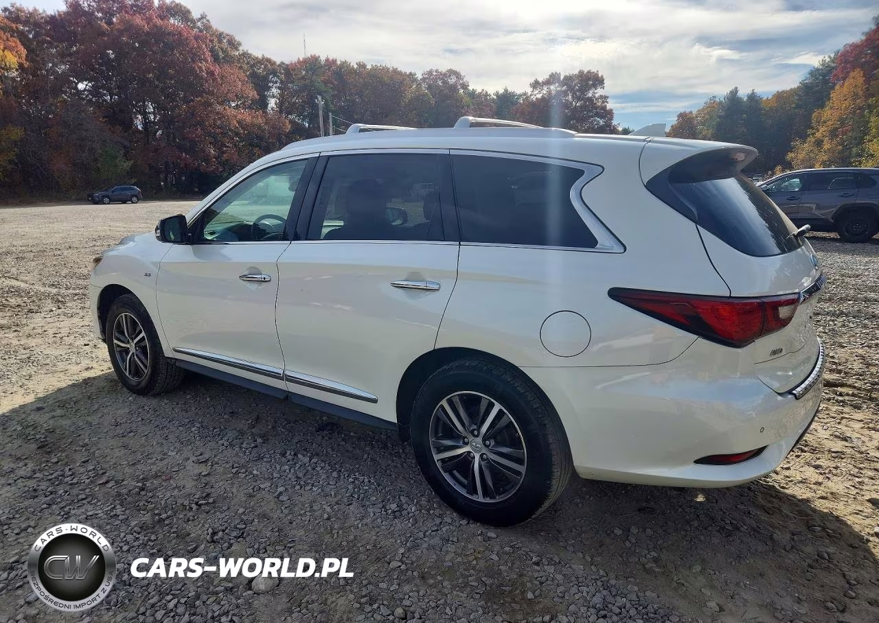 2019 Infiniti Qx60 Luxe VIN:5N1DL0MM7KC527178 - 2