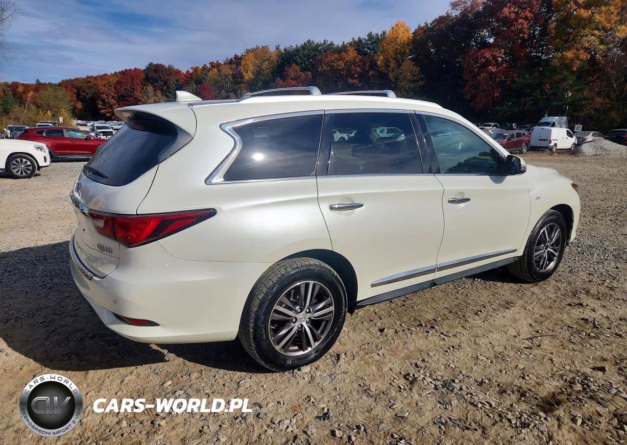 2019 Infiniti Qx60 Luxe VIN:5N1DL0MM7KC527178 - 3