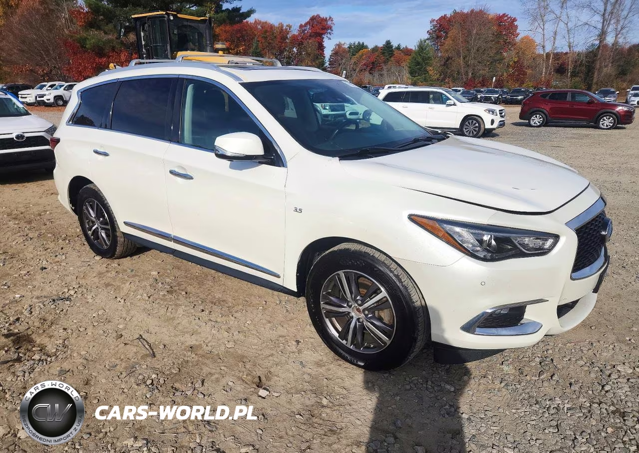 2019 Infiniti Qx60 Luxe VIN:5N1DL0MM7KC527178 - 4