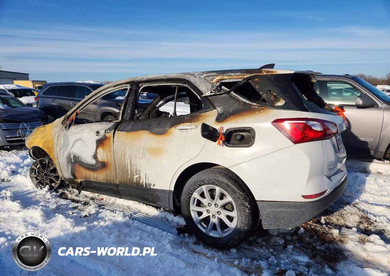 2019 Chevrolet Equinox Ls VIN:3GNAXHEV4KS643845 - 2