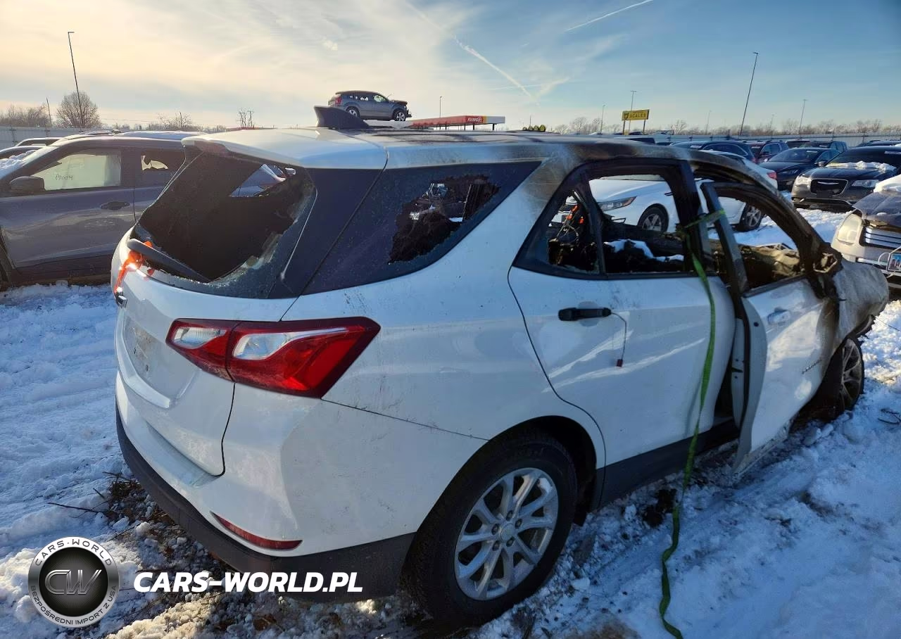 2019 Chevrolet Equinox Ls VIN:3GNAXHEV4KS643845 - 3