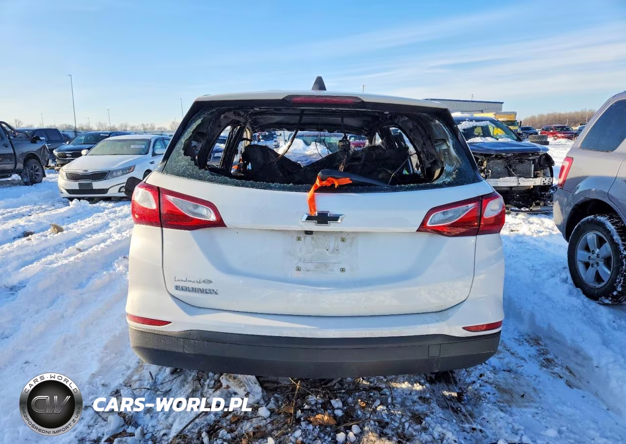 2019 Chevrolet Equinox Ls VIN:3GNAXHEV4KS643845 - 6
