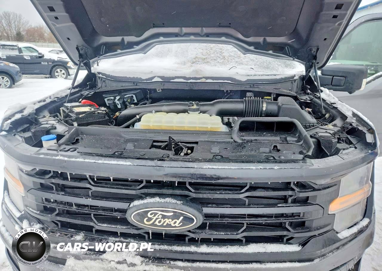 2024 Ford F150 Xlt VIN:1FTFW3L87RFA12894 - 11