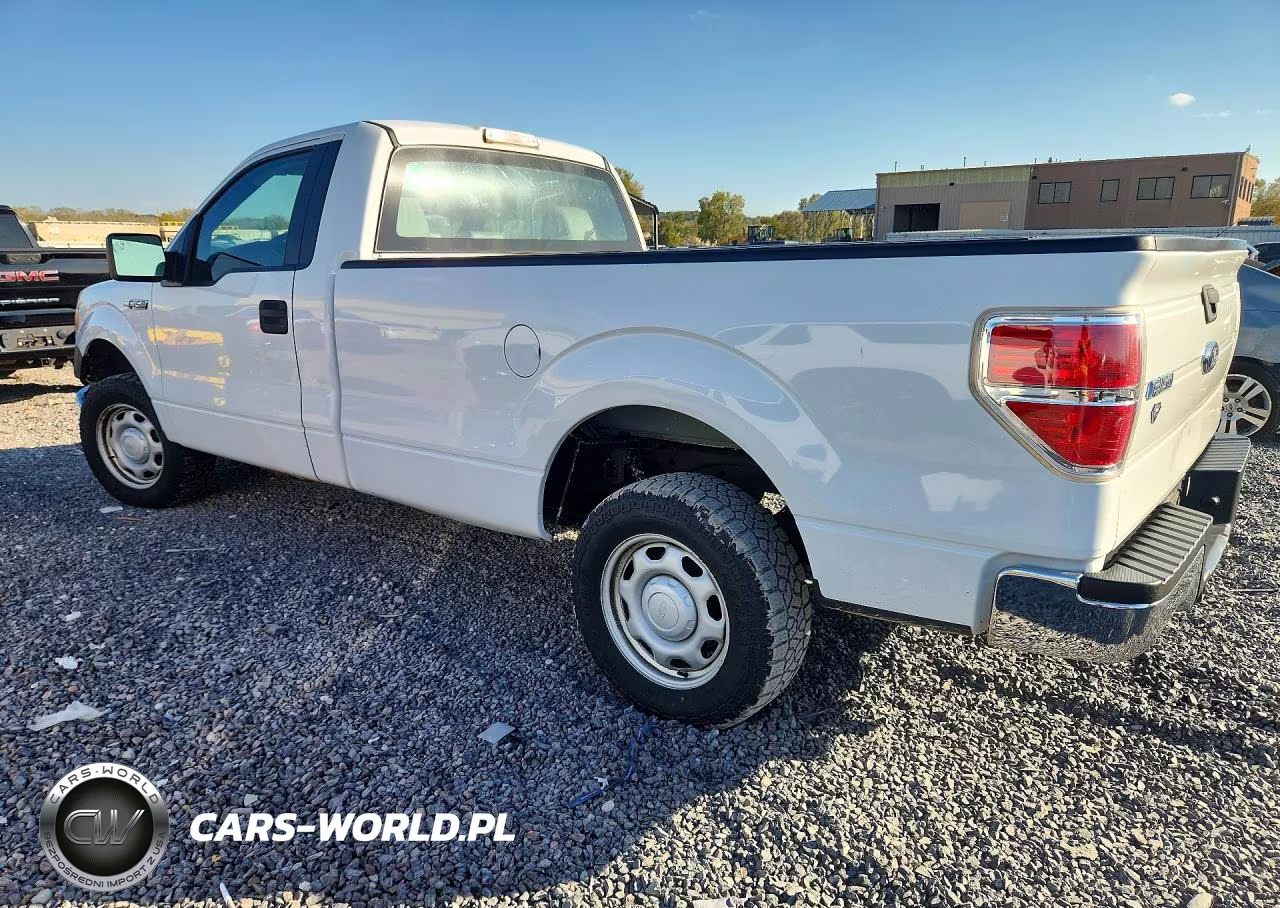 2010 Ford F150 VIN:1FTMF1CWXAKE64361 - 2