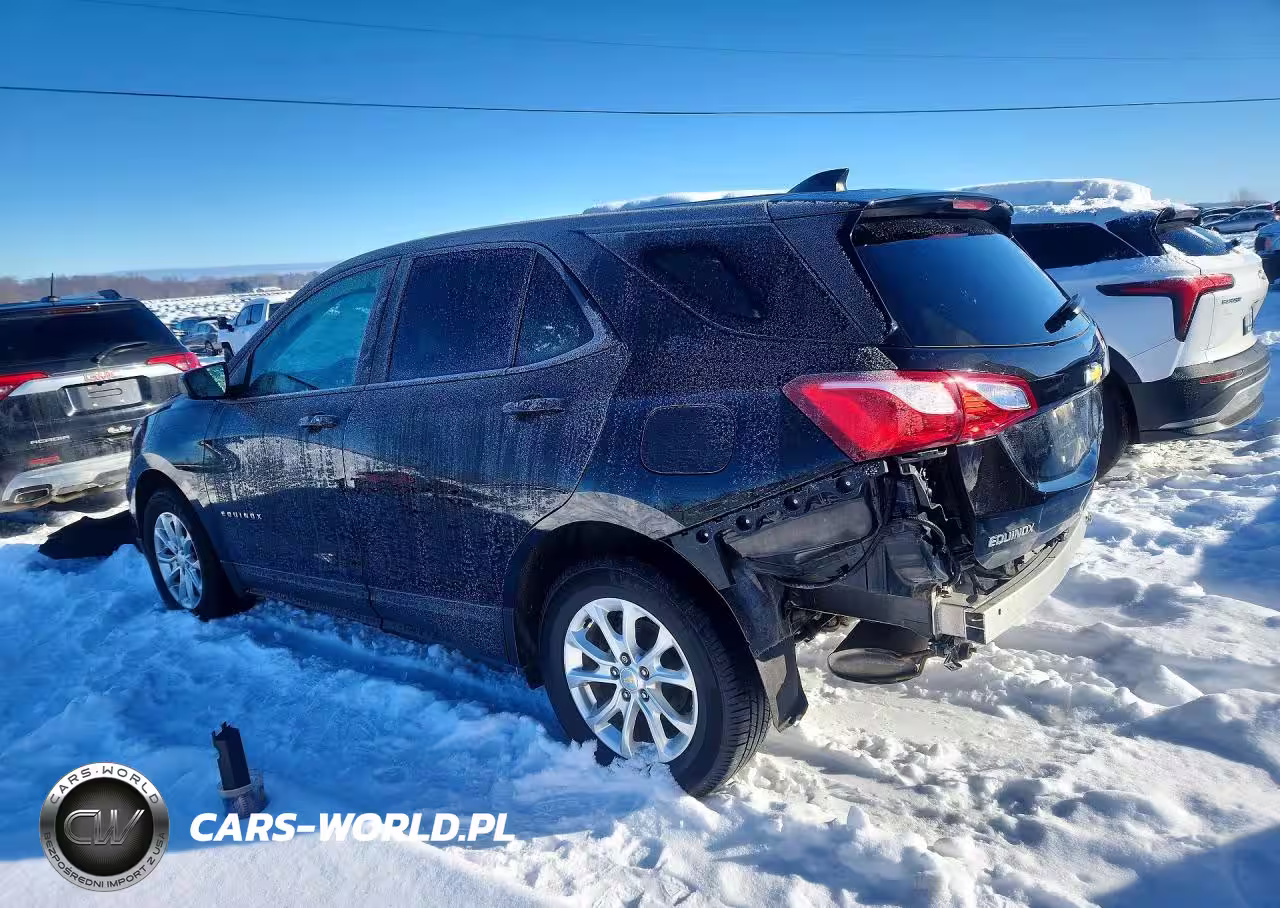 2020 Chevrolet Equinox Ls VIN:2GNAXSEV1L6166806 - 2