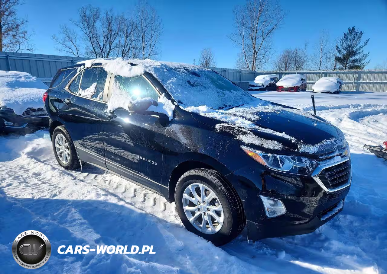 2020 Chevrolet Equinox Ls VIN:2GNAXSEV1L6166806 - 4