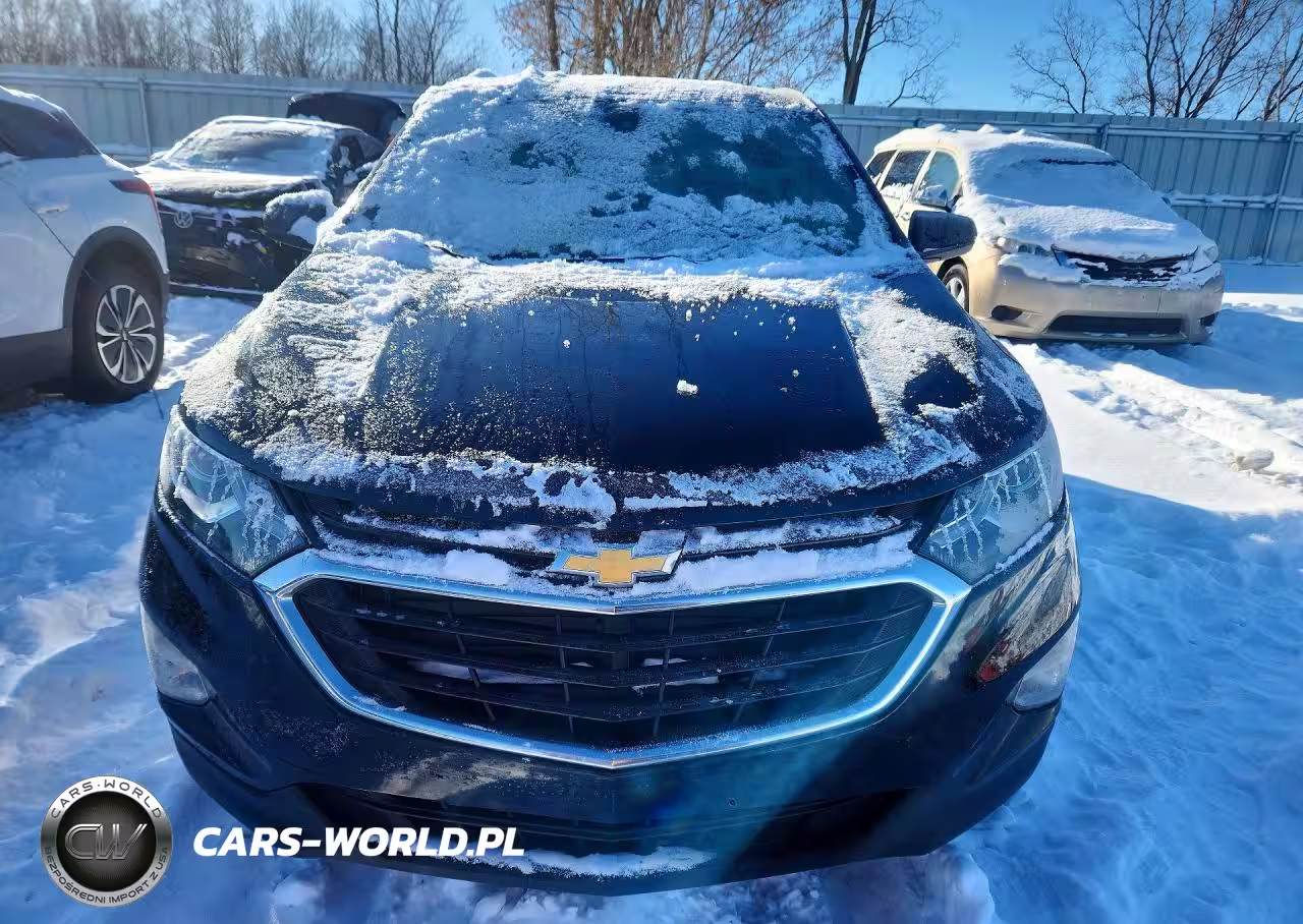 2020 Chevrolet Equinox Ls VIN:2GNAXSEV1L6166806 - 5